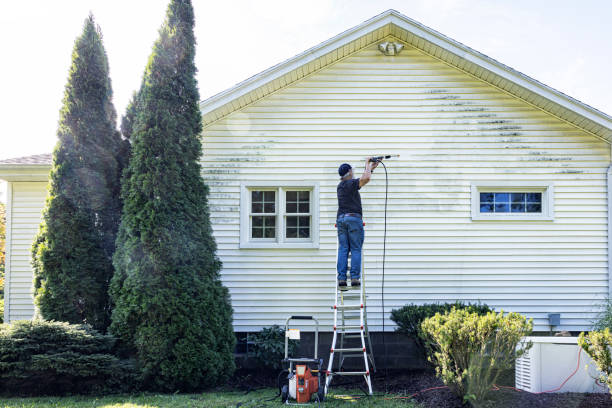 Best Residential Pressure Washing Services  in Red Wing, MN