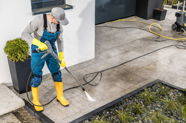 Best House Pressure Washing  in Red Wing, MN